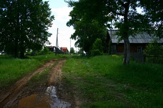 Заречевщина, сторона от дороги (Юрий Зыкин)