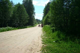 Пожарный пруд в садах Лепсе (Юрий Зыкин)