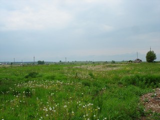 Берег Вятки (Anna&Pavel)