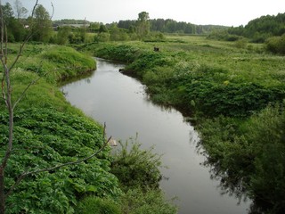 река (Anna&Pavel)