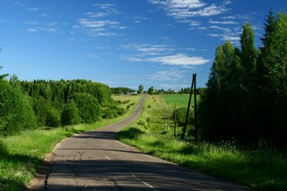 Дорога в с. Лекма, деревня Заселье (Юрий Зыкин)