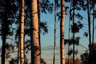 Новый Кырлай, где жил татарский поэт Г.Тукай (Илья Чирков)