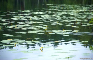 о.Серебряное_1 (mothjet)