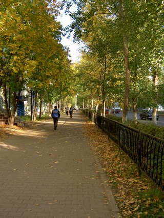 Parkovaya Street (netant)