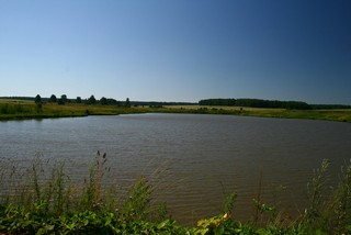 Пруд, вдали вид на Кузницы (Юрий Зыкин)