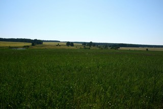 вид на д.Кузницы (Юрий Зыкин)