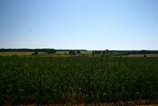 вид на д.Кузницы с дороги (Юрий Зыкин)