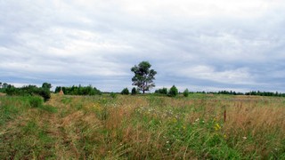 поселок №8 (вид с поля) (amignat0061@gmail.com)