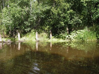 сплавной загон для леса (offroadkazan)