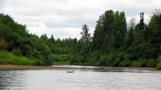 р.Луза (amignat0061@gmail.com)