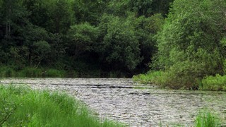 озеро (amignat0061@gmail.com)