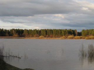 р. Вятка  (Максим Рыболовлев)