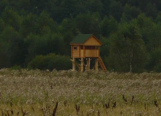 Охотничье сооружение для подкарауливания кабанов и медведей. (Alex1281)