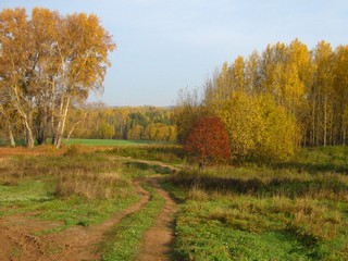 Баковщина в сентябре (Дмитрий Зонов)