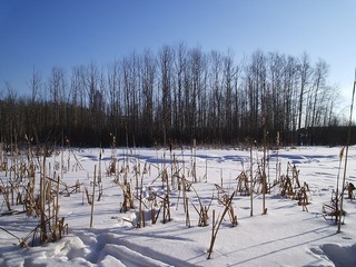 Lyulchenka River (Василиса Поселкова)