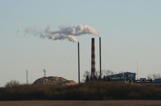 KMDK  AG (Василиса Поселкова)