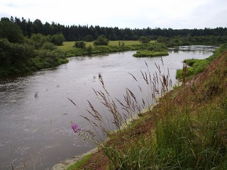 р. Быстрица берег (Василиса Поселкова)
