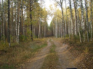 осень, 04.10.2008 (Юрий А. Краснов)