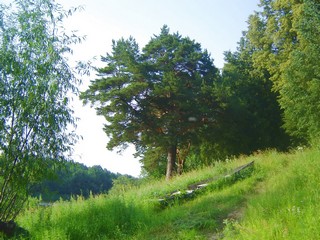 Агельдино (rodonit2)