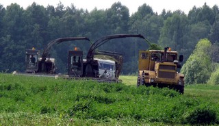 дорога Подборново-Балезино. 2008.07.07 (_art)