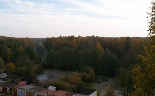 Дорога к больнице через лес (auntmary)