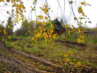 Дом священника в Горохово (Дмитрий Зонов)