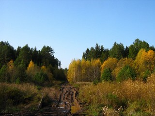 Мост через Фомицу у Земцов (Дмитрий Зонов)