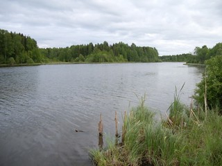 Пашкин шур (kuuziku)