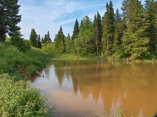 Лесной прудик (Ivan Buzmakov)