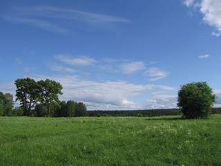 Деревня заброшенная (Vanissss)