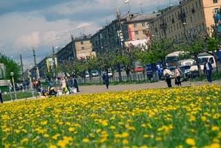 Oktyabrskiy prospect, Kirov (makaroni)