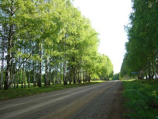 2005 Вид в сторону Адама перед поворотом на Кельдыково (Абашев Мансур)