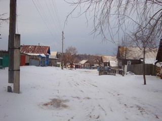 д.Четнаево зимой (1) (sfed63)