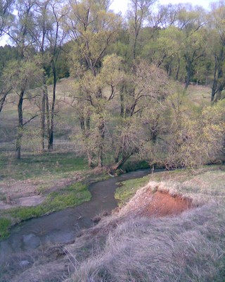 красотища (shoostRA)