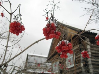 Первый снег (Inquisitor)