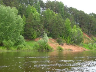 Береговой оползень (пьяный лес) (Дмитрий Зонов)