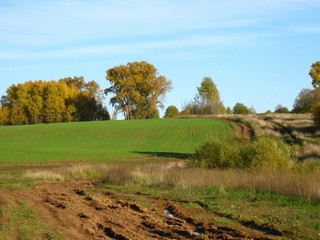 д.Баковщина (Дмитрий Зонов)