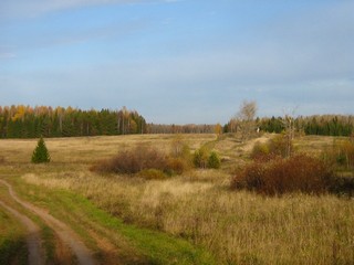 Скутины (Дмитрий Зонов)