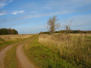 Скутины (Дмитрий Зонов)