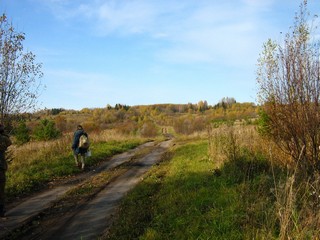 Поляны (Дмитрий Зонов)