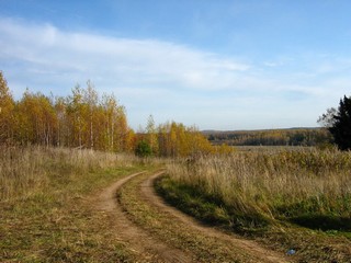 Вид от Полян в сторону Саватёнок (Дмитрий Зонов)