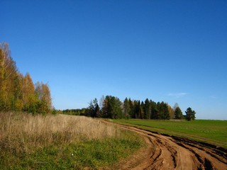 Дорога Заборовица - Бороденьщина (Дмитрий Зонов)