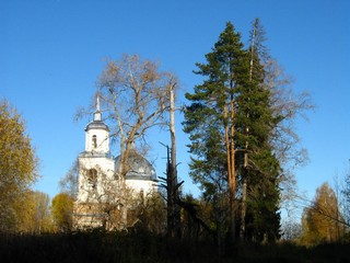 Горохово (Дмитрий Зонов)