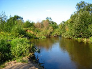 р.Никульчинка (Никулинка) в нижнем течении (Дмитрий Зонов)