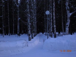 Зимний вечер,2009 (alex i)