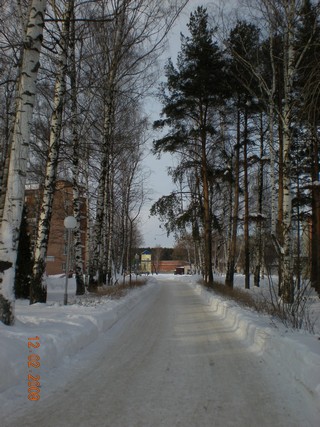 Аллея зимой (alex i)