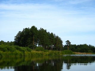 Сосны на берегу (Дмитрий Зонов)