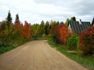 Сады 41 км (Дмитрий Зонов)