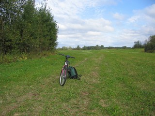 Пойменный луг. (Дмитрий Зонов)