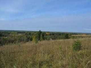 Вид от церкви с.Верходворье. (Дмитрий Зонов)